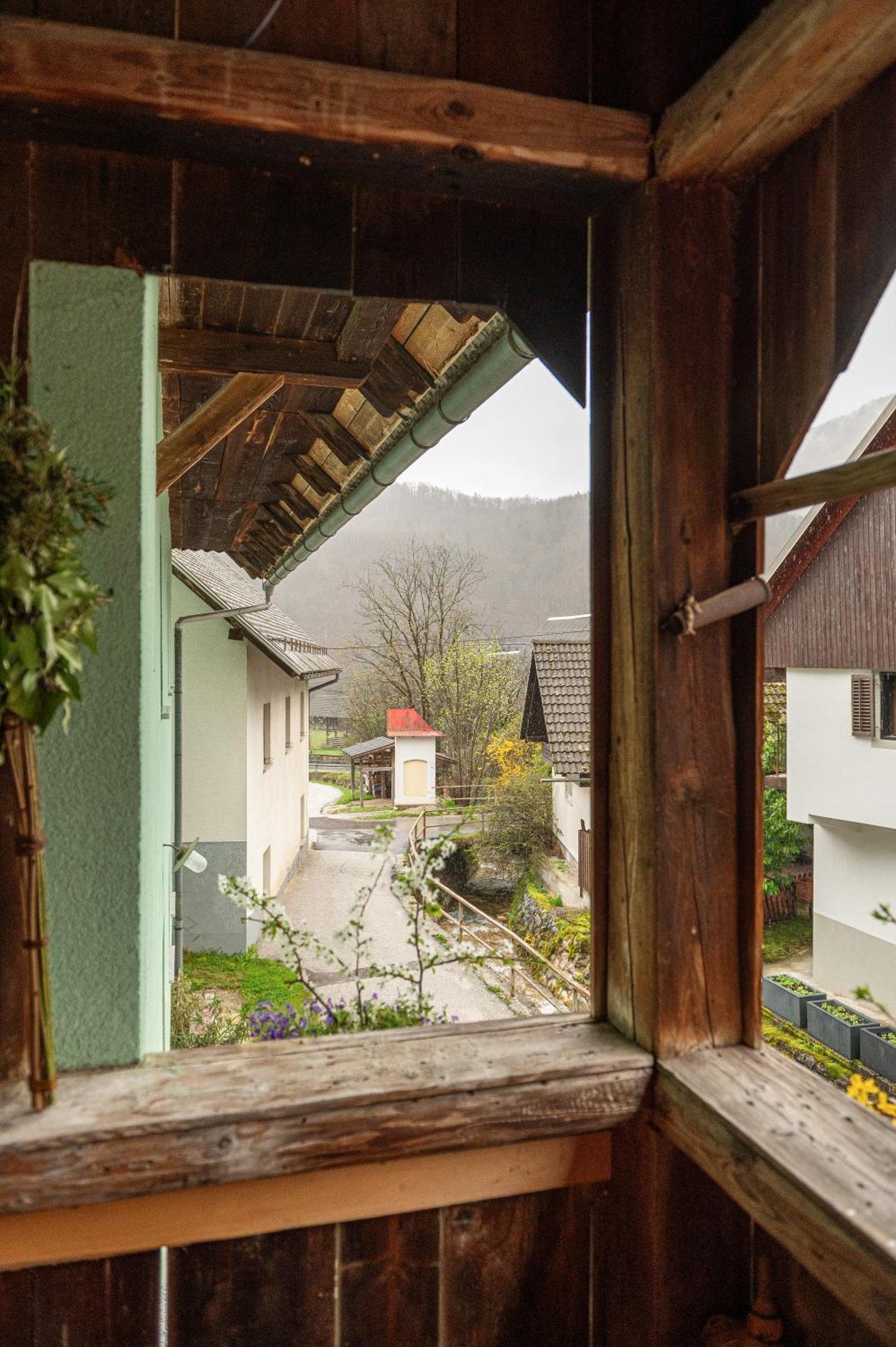 Zelena Hisa Pri Bjov Apartment Bohinjska Bela Exterior foto