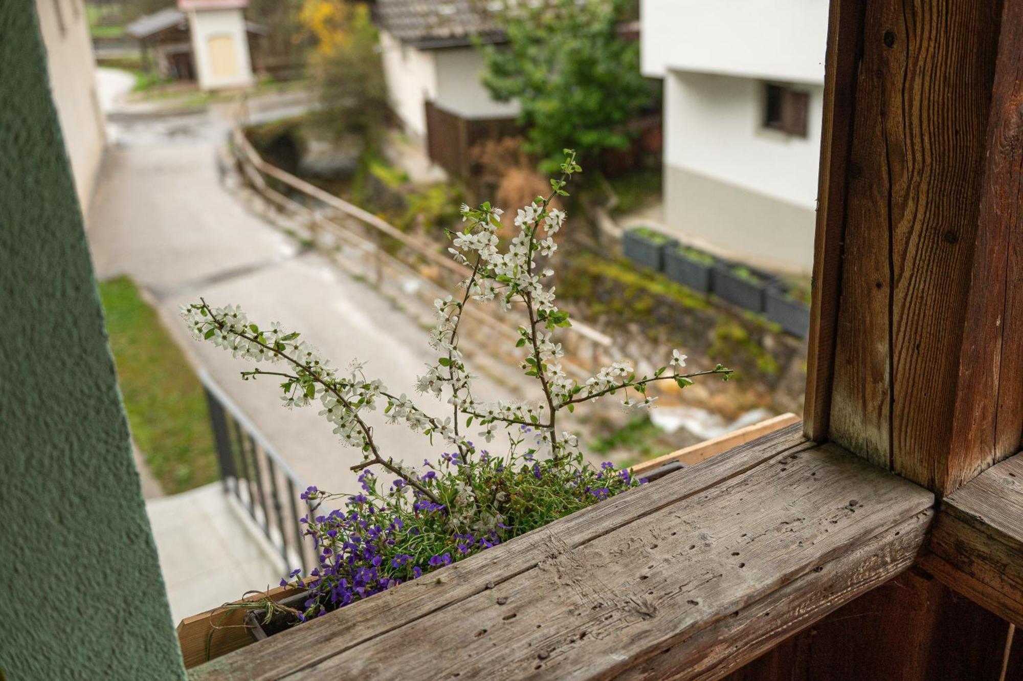 Zelena Hisa Pri Bjov Apartment Bohinjska Bela Exterior foto