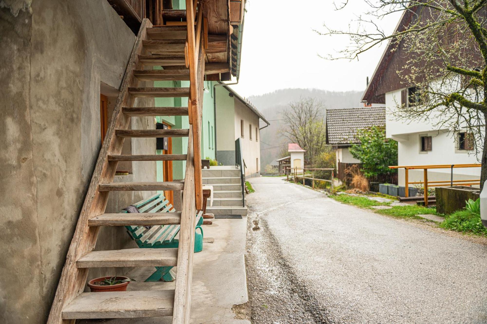 Zelena Hisa Pri Bjov Apartment Bohinjska Bela Exterior foto