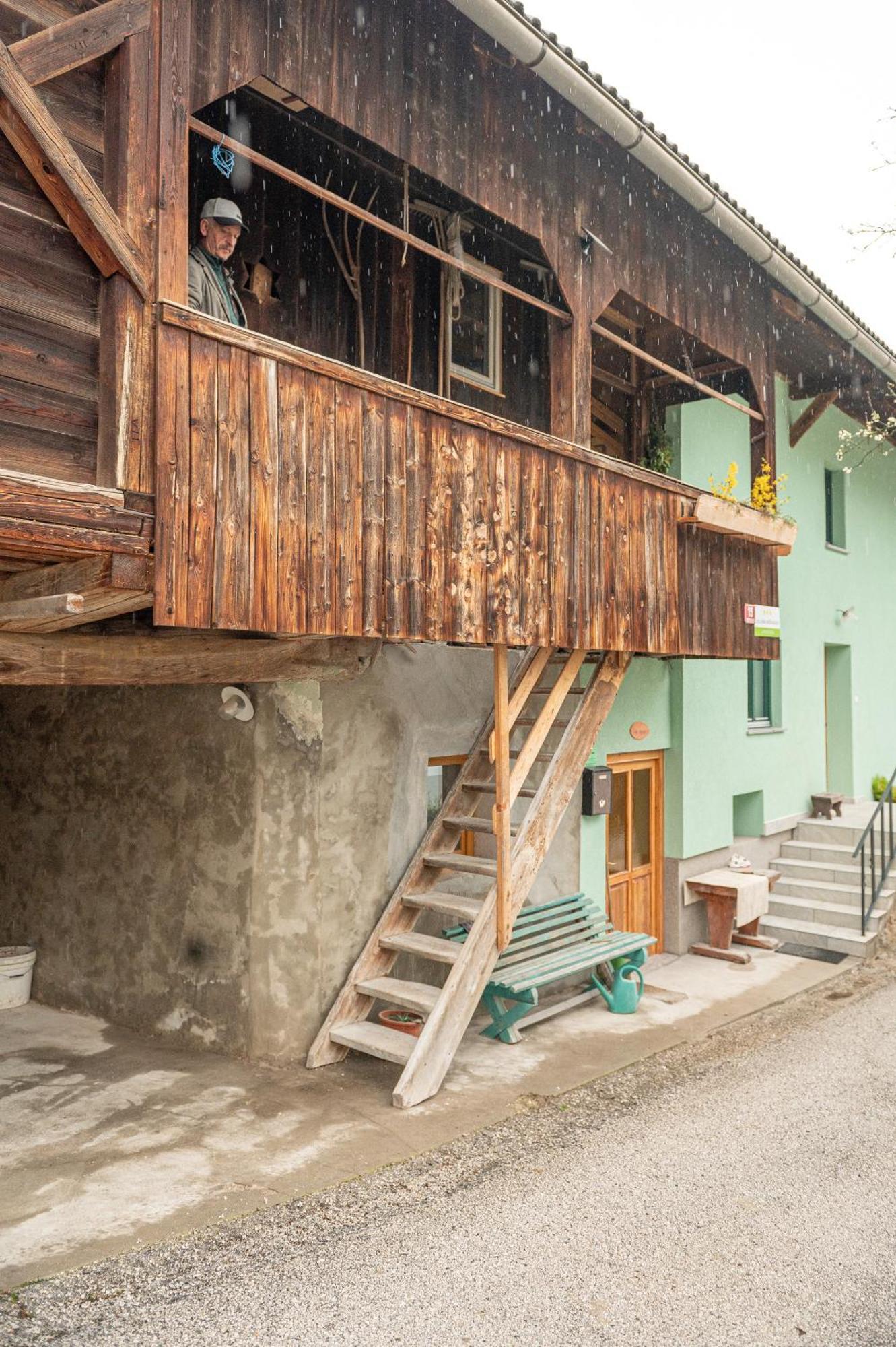 Zelena Hisa Pri Bjov Apartment Bohinjska Bela Exterior foto