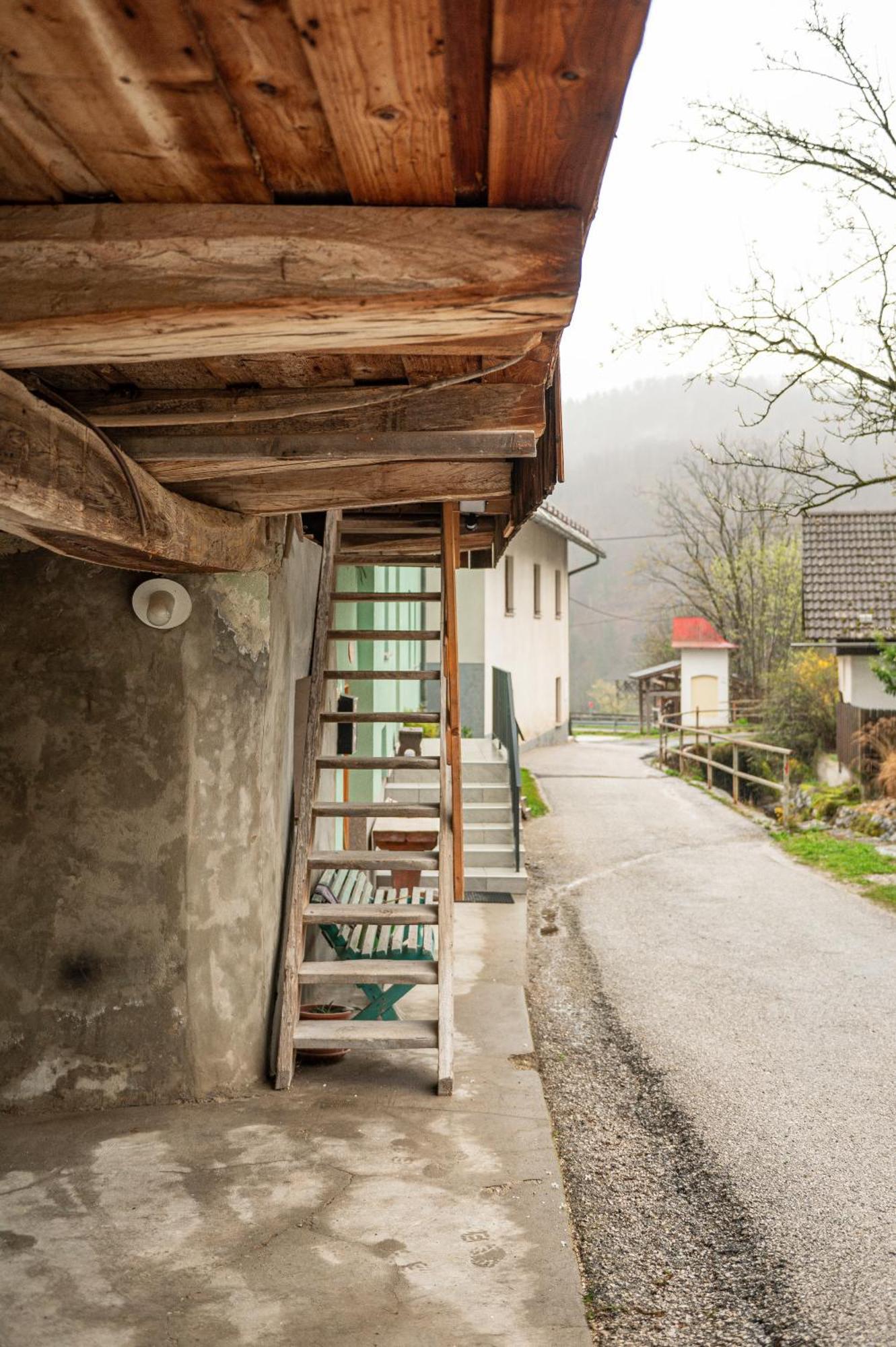 Zelena Hisa Pri Bjov Apartment Bohinjska Bela Exterior foto